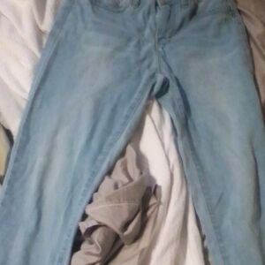 YMI Women's High Rise Jeans - Light Blue